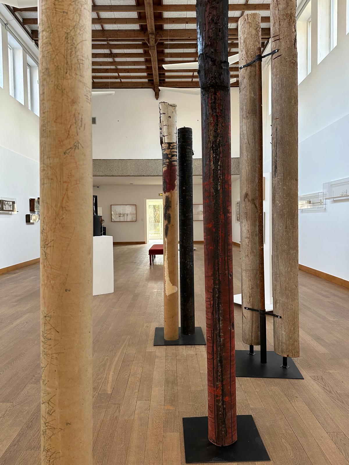 Mise en scène de l'exposition Alain Lemosse